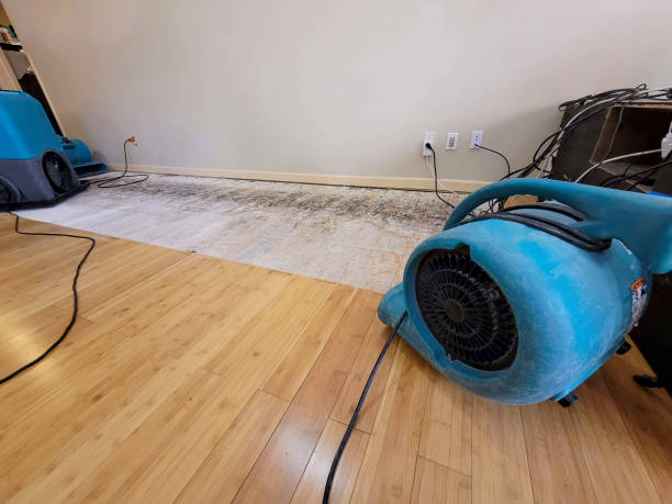 Professional Water Removal technician working in Haviland, OH